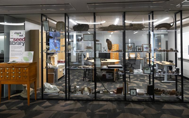 Seed Library