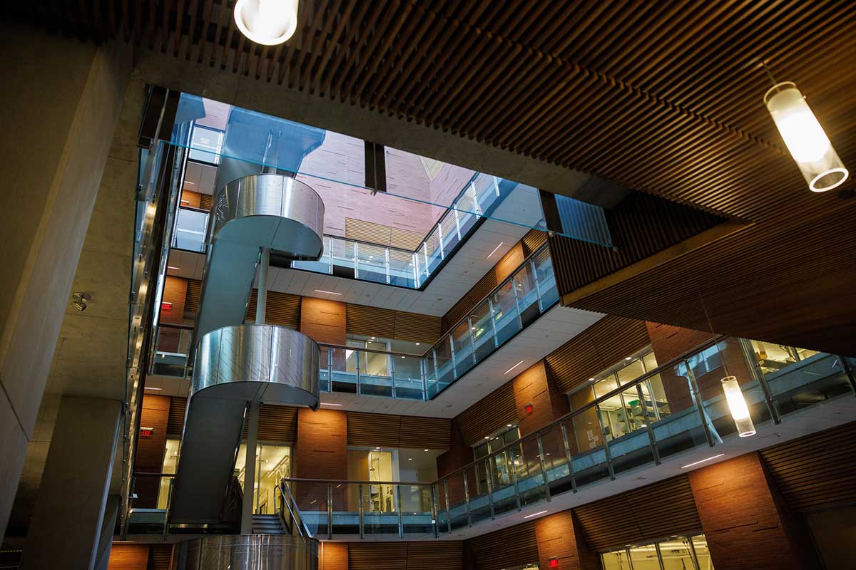Interdisciplinary Science and Technology IV